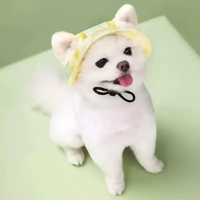 Casquette de pêcheur en coton pour chien et chat, chapeau de soleil respirant pour petits, moyens et