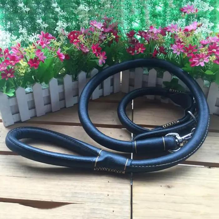 Ensemble collier et laisse en cuir véritable pour animaux de compagnie, collier de bain rond, laisse