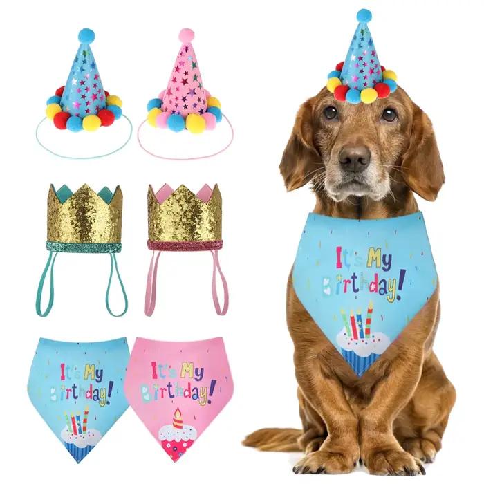 Casquettes d'anniversaire pour animaux de compagnie, conception de bavoirs mignons, vêtements de sau