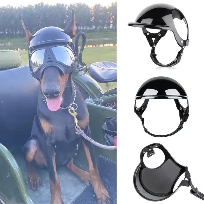 Casque de sécurité Cool pour chiens de petite et moyenne taille, bouledogue français Doberman Pinsch