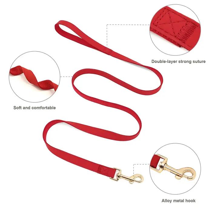 Collier de chien en cuir personnalisé, ensemble de laisse SFP, glaçage en maille pour animaux de com
