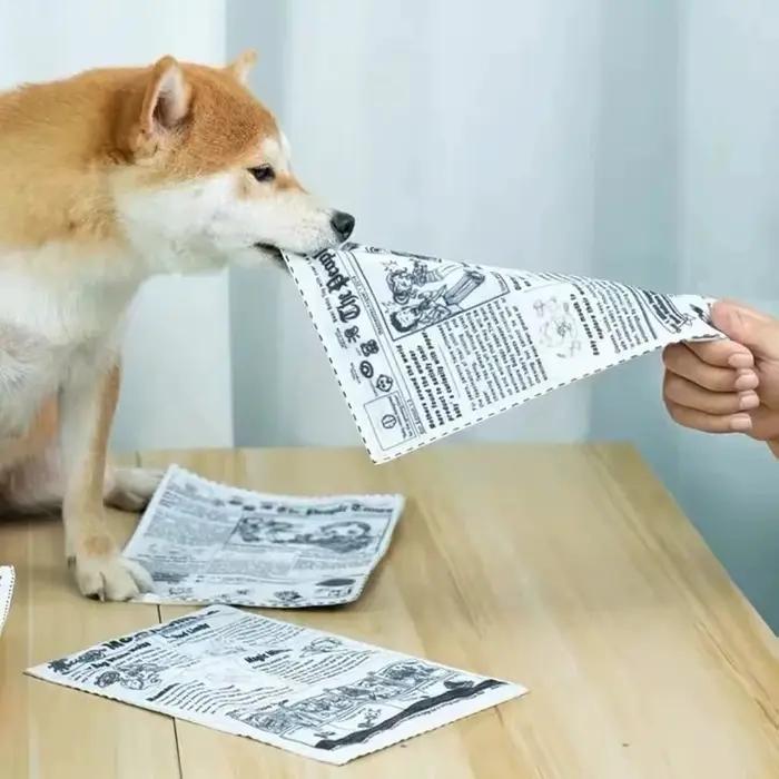 Jouet sonore anti-déchirure pour chien, 1 pièce, simulation de journal couinant, carte de jeu K Q J,