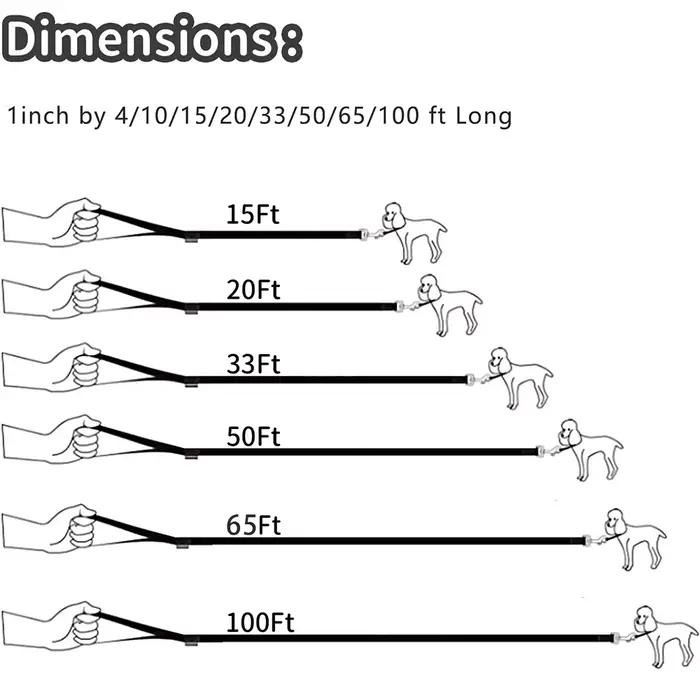 Longue corde en nylon pour chien, entraînement de rappel, laisse pour animaux de compagnie de 3m 6m 