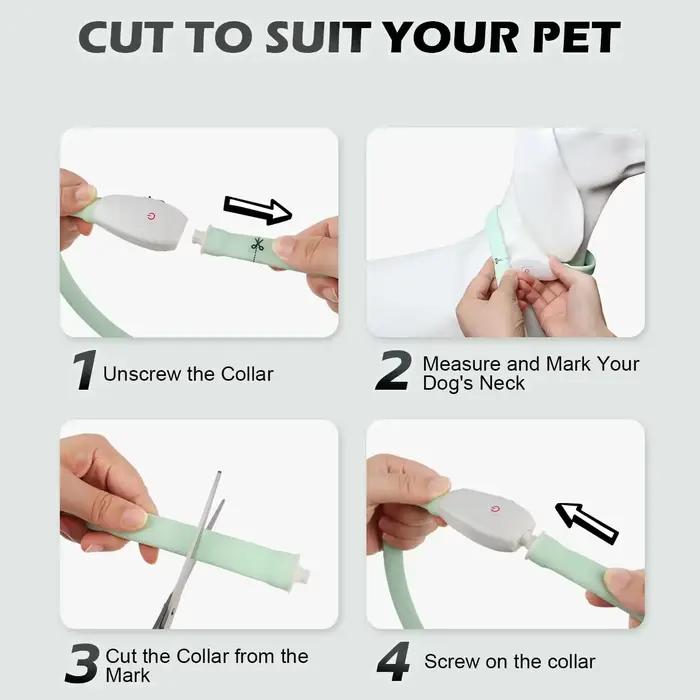 Collier lumineux Rechargeable USB pour grands et petits chiens collier de chien lumineux LED 9 Modes