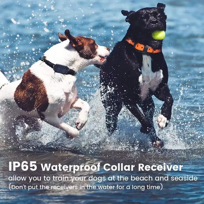 Collier Électrique Anti-Aboiement pour Chien, Étanche, avec Télécommande, Rechargeable, Dispositif d
