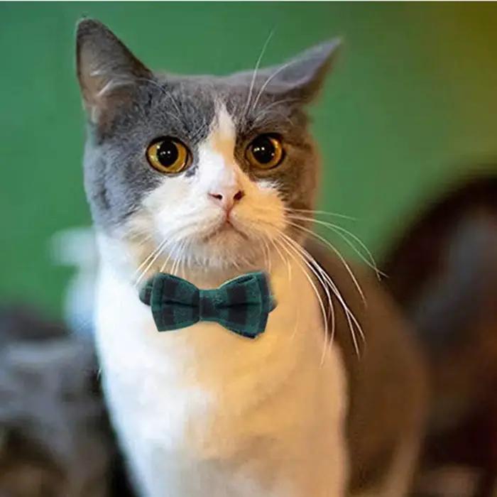 Collier de chat personnalisé avec nom ID et nœud papillon, collier de chien réglable élastique, nœud