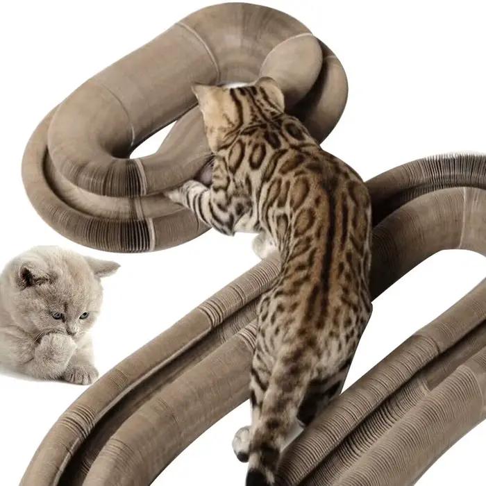 Planche à gratter pour chat, orgue magique pliable, jouet amusant, griffe de meulage, lit de couchag
