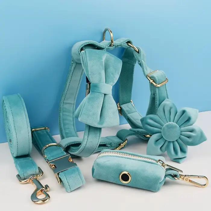 Ensemble collier et laisse pour chien en velours avec pierre turquoise, plaque nominative gravée sur
