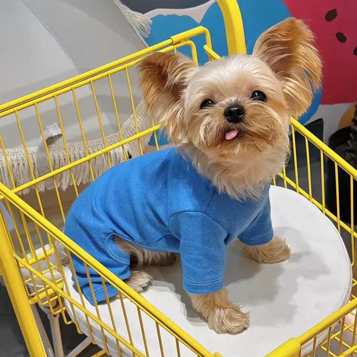 Vêtements pour chiens en pur coton 5 couleurs pyjama pour chien garçon et fille Onesies pour petits 