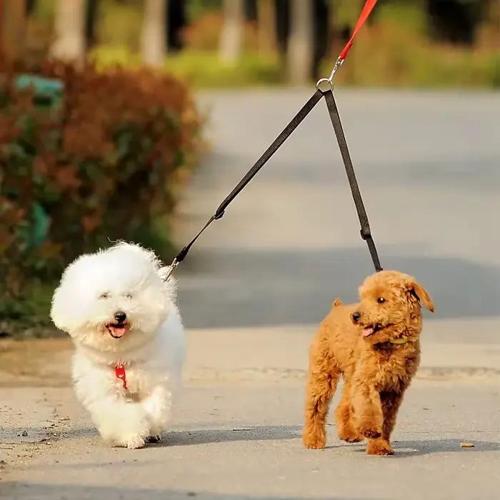 Coupleur de laisse pour deux chiens, marche en plein air, Double plomb, harnais pour chien, accessoi