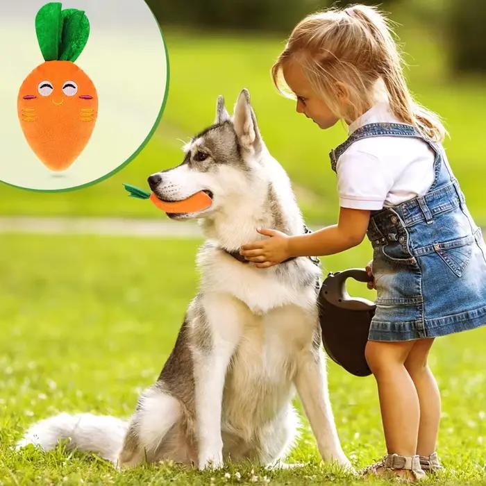 Jouets à mâcher en peluche pour chiens, carotte grinçante, peluche douce, fournitures interactives p