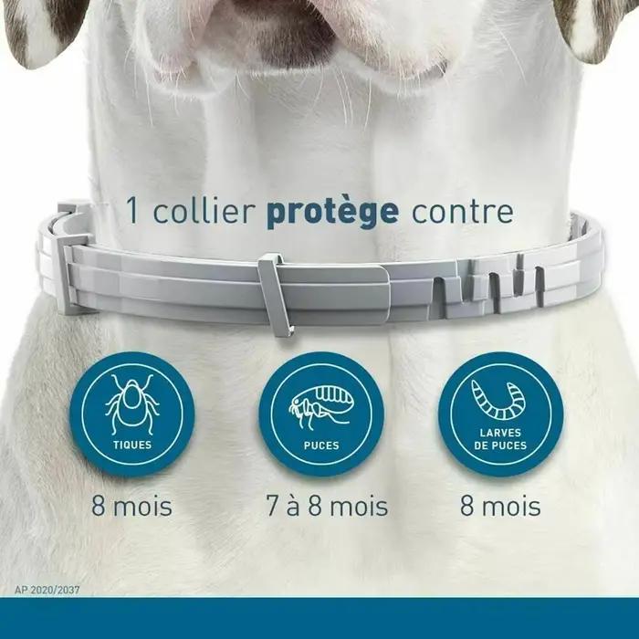 Collier Anti-puces et tiques pour chien et chat, Protection rétractable de 8 mois, pour chiot, chat,