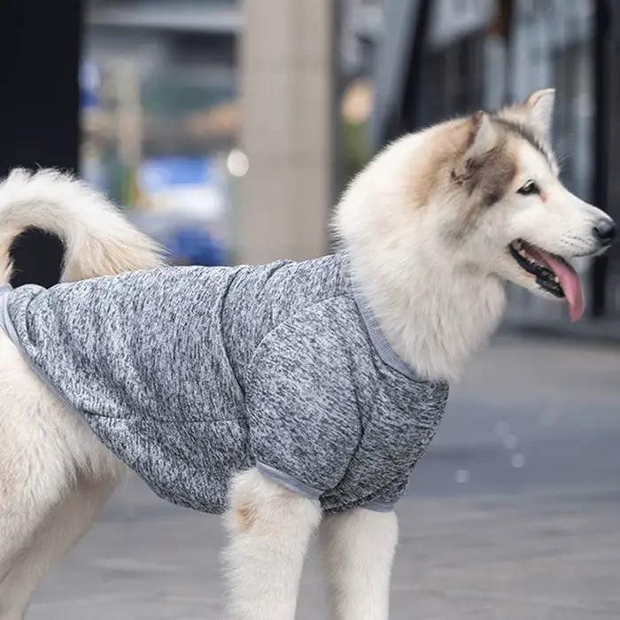 Sweat-shirt pour chien, pour animaux de compagnie moyens et grands, doré, Satsuma Huskies, frontière