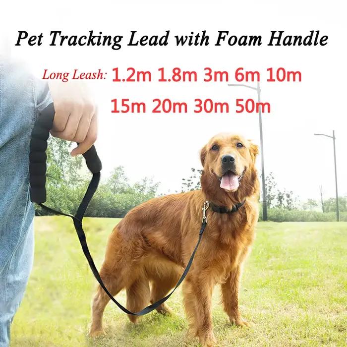 Longue corde en nylon pour chien, entraînement de rappel, laisse pour animaux de compagnie de 3m 6m 