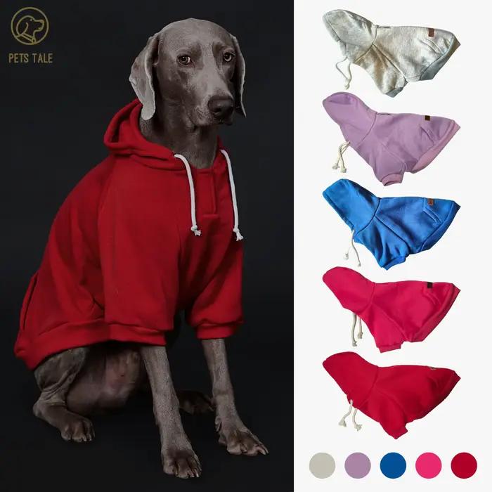 Sweat à capuche pour chien de couleur unie avec poche, patch en cuir, collier à fermeture à crochet 