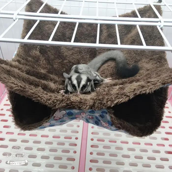 Hamac chaud d'hiver pour animaux de compagnie, Double couche épaisse en peluche pour Hamster, Chinch