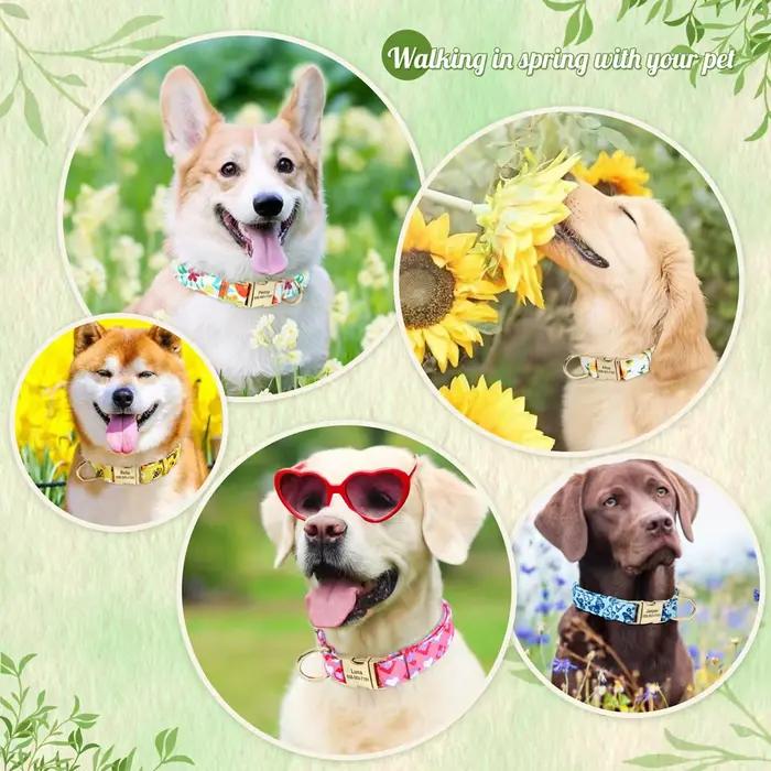 Collier de chien en Nylon personnalisé fleur abeille imprimé colliers de chiot gratuit personnalisé 
