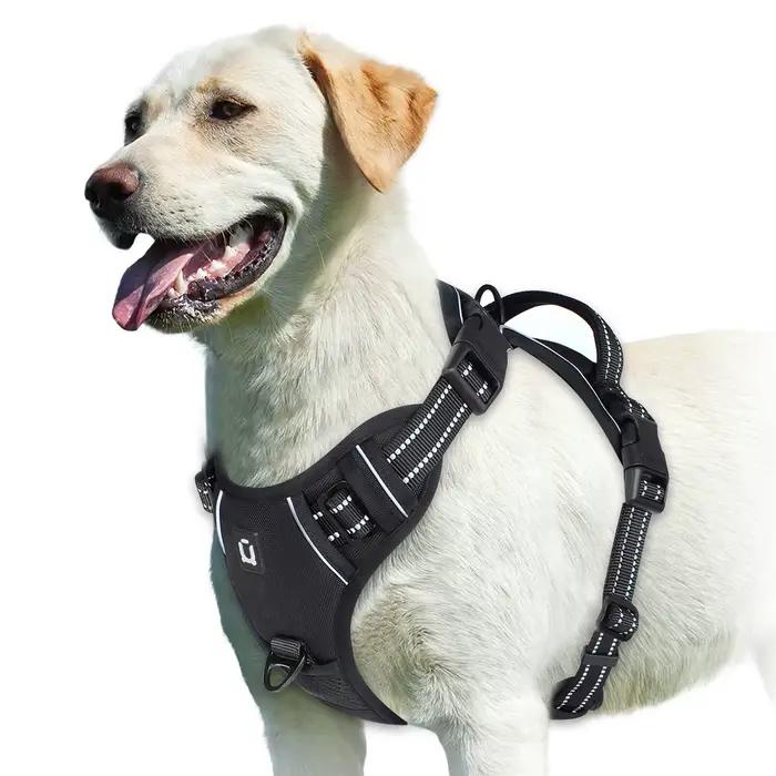 Chien sans côtes SFP, glaçure douce rembourrée réglable pour animaux de compagnie, poignée de contrô