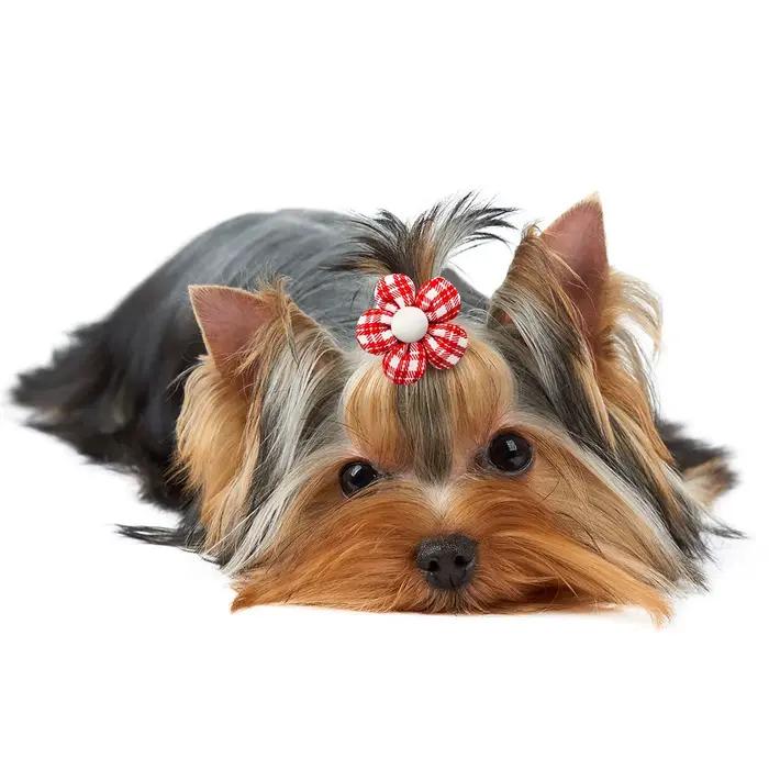 Nministériels d papillon décoratif avec bandes en caoutchouc pour petit chien, fleur, cheveux de chi