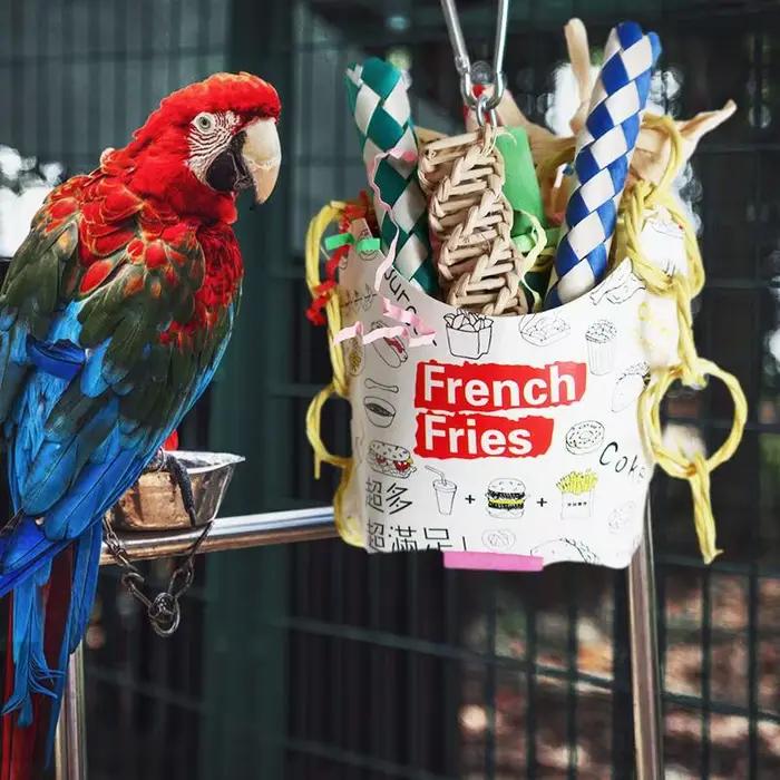 Jouets à mâcher colorés pour perroquets, tasse à oiseaux naturelle, jouets à mâcher pour perruches, 