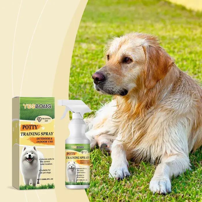 Spray d'entraînement pour pot pour chien, chats, chaton, caca d'urine en plein air, tabouret, aide a
