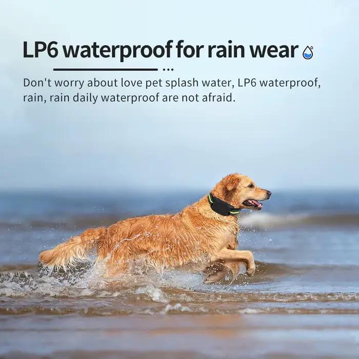 Collier Anti-aboiement automatique pour chien, colliers d'entraînement rechargeables par USB, sécuri
