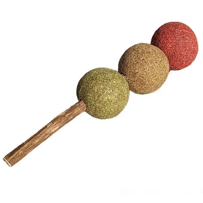 Biscuits sains à l'herbe de Timothy, bâtonnets à mâcher en bois de pomme, friandises pour hamsters, 