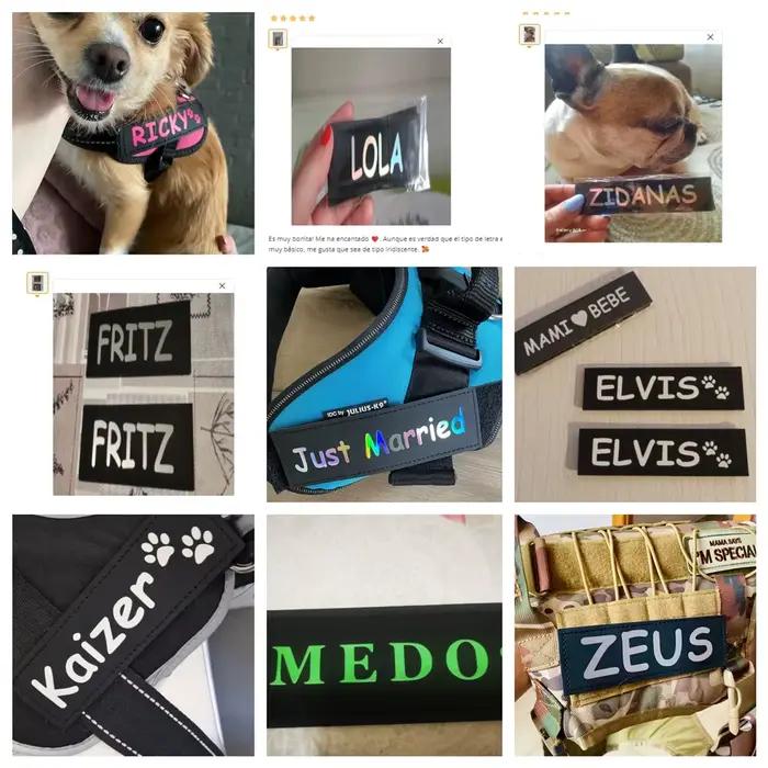 Étiquette autocollante réfléchissante avec nom de chien, 2 pièces, pour collier de harnais pour anim