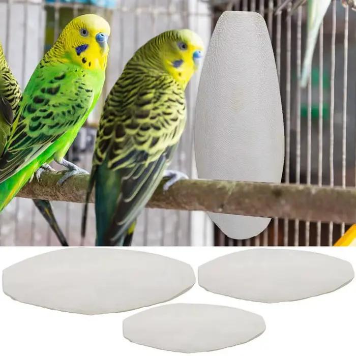 Nouveau 10 pièces/ensemble oiseaux pomme de choc perroquet chewing seiche os pour becs pointus seich