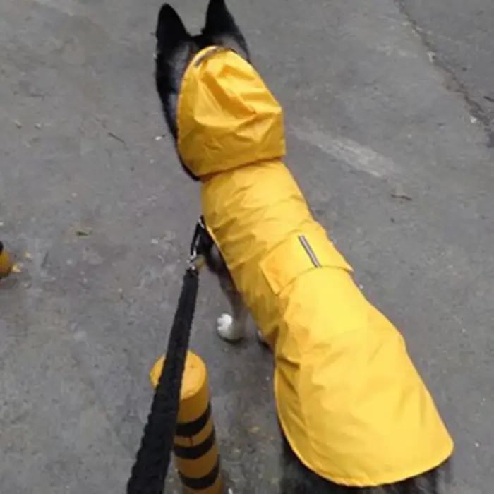 Manteau imperméable réfléchissant pour chien, vêtements imperméables pour petits et grands chiens, m