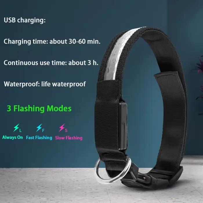 ID gravé LED collier de chien lumineux USB étiquette de chien personnalisée collier de chien de comp