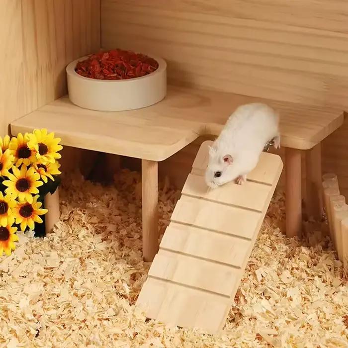 Plate-forme échelle en bois pour Hamster, planche à sauter, aire de jeux, jouet d'escalade pour peti