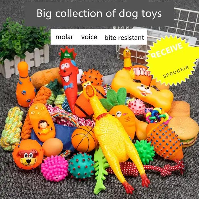 Jouets pour chiens, boule pour animaux de compagnie, corde en os, jouets en peluche grinçants, Kit d