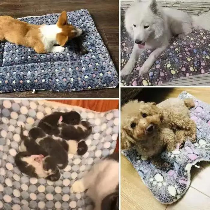 Tapis pour animaux de compagnie en flanelle, lit pour chien et chat, tapis de couchage épais, couver