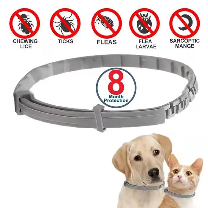 Collier pour chat, colliers Anti-puces et tiques pour chiens, Protection pour animaux de compagnie d