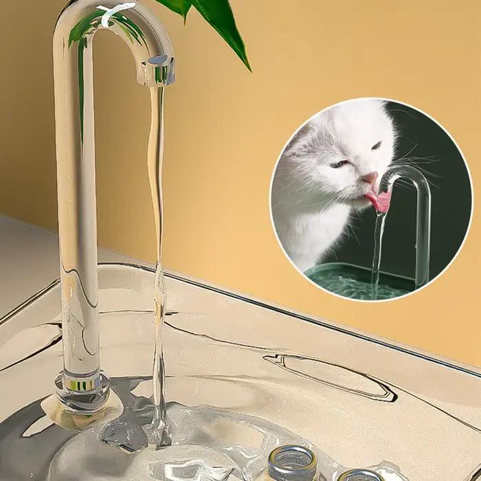 Fontaine d'eau pour chat, filtre automatique, abreuvoir Transparent pour chat, USB, électrique, sile