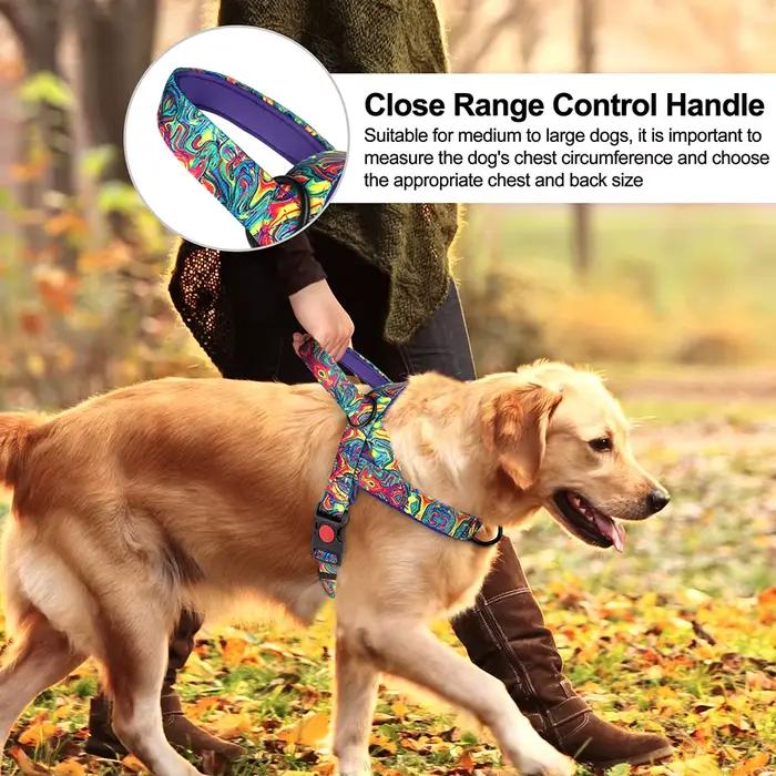 Harnais pour chien à contrôle rapide avec poignée, sans traction, gilet en Nylon pour chiens, imprim