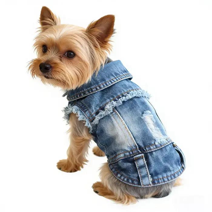 Veste en jean pour chiens, vêtements pour animaux de compagnie, mode pour petits et moyens chiens, c