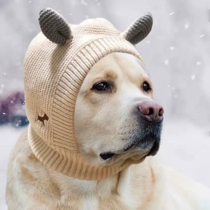 Cache-oreilles silencieux pour chien, Protection contre le bruit, couvre-oreilles pour animaux de co