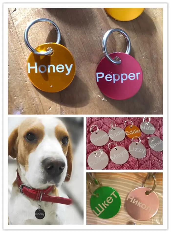 1 pièces gravure Laser gratuite personnalisé étiquette d'identification de chien de compagnie chat c
