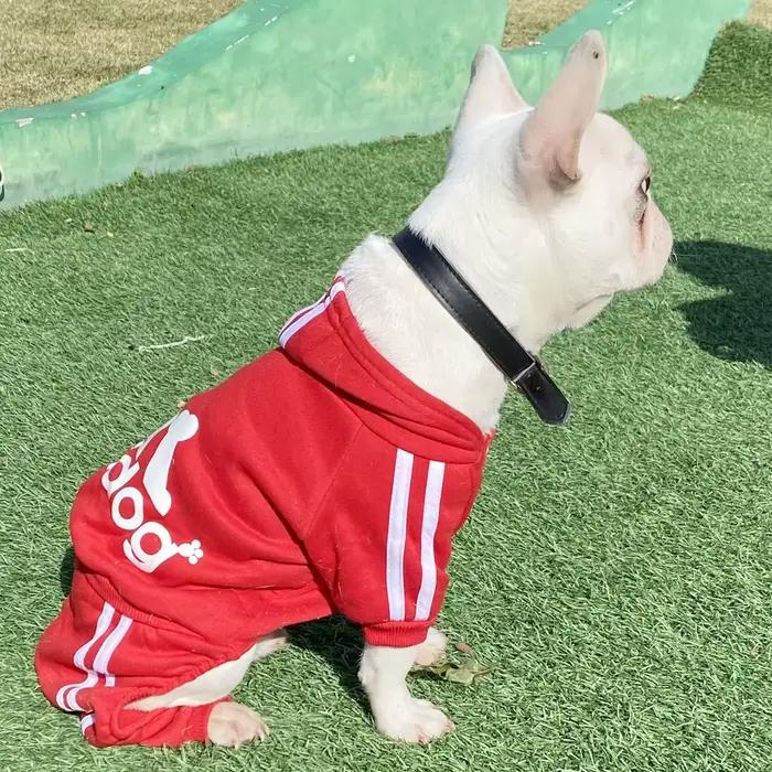 Survêtement pour chiens printemps automne vêtements pour chiens Sport sweat combinaison pour petits 