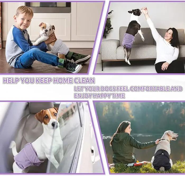 Couches réutilisables pour chiens féminins, couches à haute absorption pour chiots, culottes réglabl