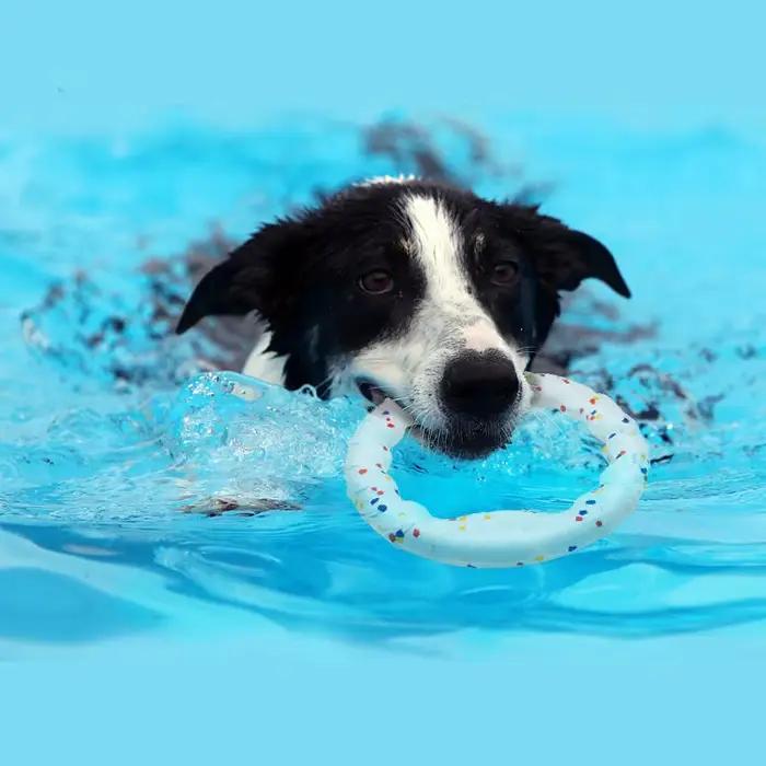 Jouet pour chien de compagnie, balle Super résistante aux morsures, balle légère à mâcher ETPU, joue