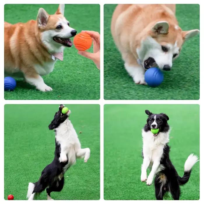 Jouets pour chiens de compagnie, balle gonflable en caoutchouc solide, résistance aux jouets à mâche