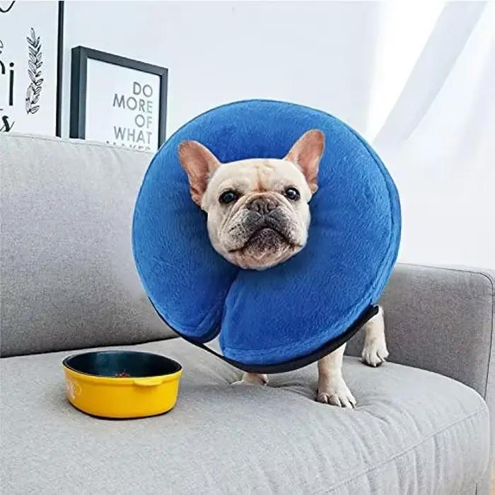 Cônes de protection gonflables pour chien après la propor, collier de récupération pour animaux de c