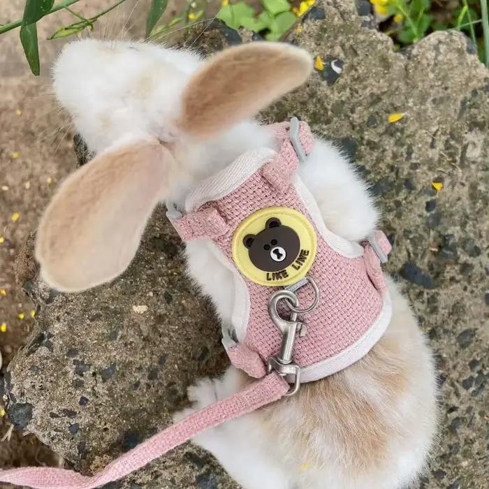 Ensemble de Laisse SFP pour Lapin Mignon, Accessoires pour Animaux de Compagnie, Petit Animal de Com