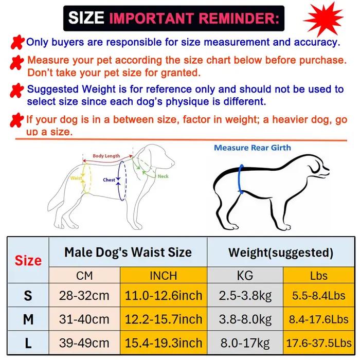 Couches lavables réutilisables pour animaux de compagnie, couches lavables pour chien mâle, bandes d