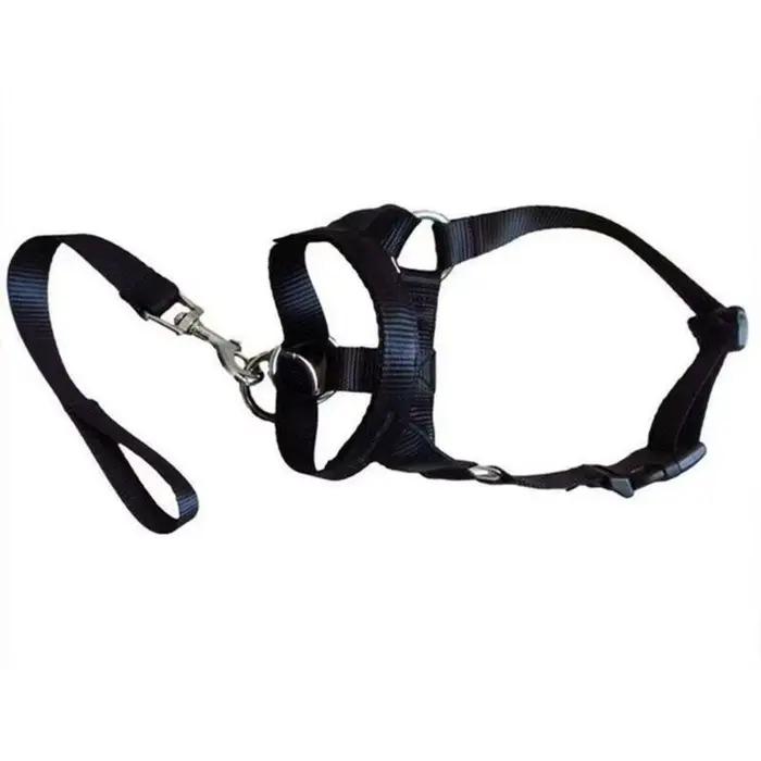 Collier pour chien muselière licou entraînement laisse pour chien Leader collier classique réglable 