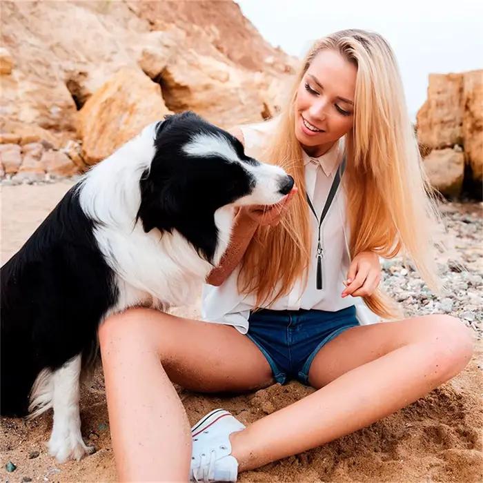 Sifflet pour chien haut de gamme avec lanière, fournitures pour chiens, rappel, arrêt d'aboyer, siff
