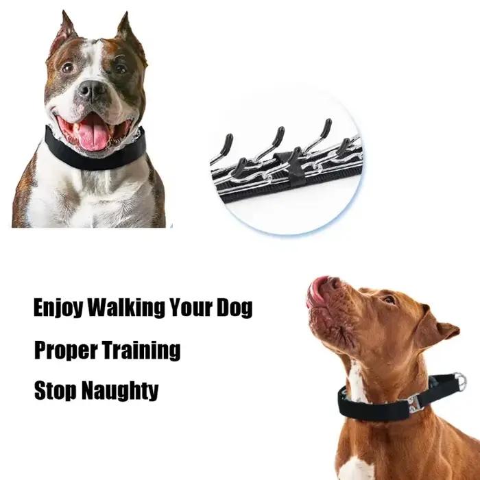 Collier d'entraînement pour chien, avec boucle à dégagement rapide et housse en Nylon, collier de pi